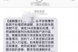 鄂尔多斯要账公司更多成功案例详情